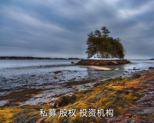 私募 股权 投资机构