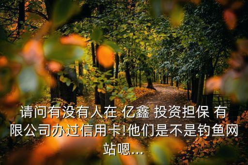 深圳市亿鑫投资有限公司 简介