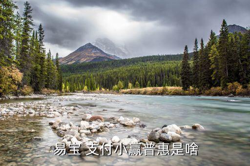 易宝 支付小赢普惠是啥