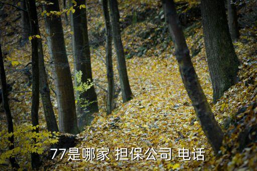 77是哪家 担保公司 电话