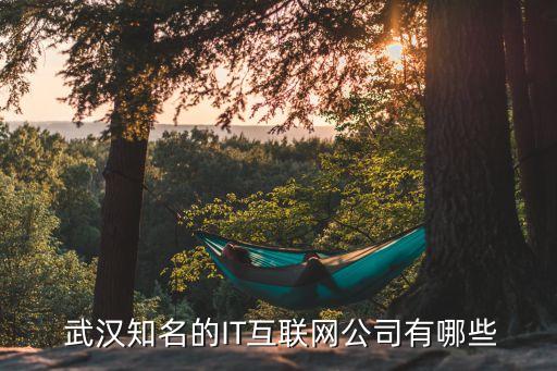  武汉知名的IT互联网公司有哪些