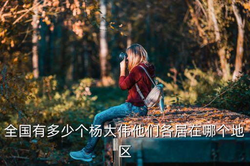 全国有多少个杨大伟他们各居在哪个地区