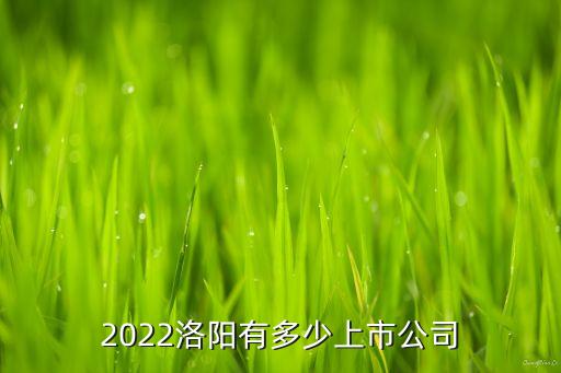 2022洛阳有多少上市公司