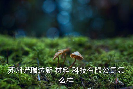 苏州诺瑞达新 材料 科技有限公司怎么样