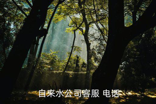  自来水公司客服 电话