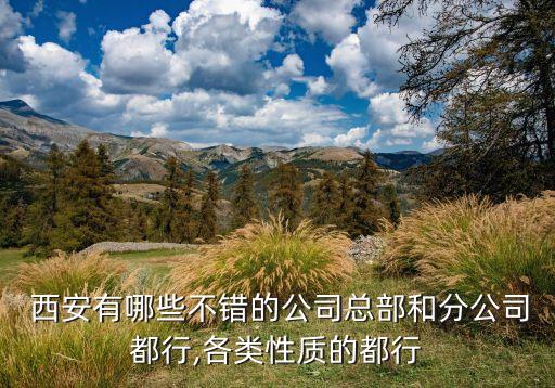 中水电西安投资发展有限公司