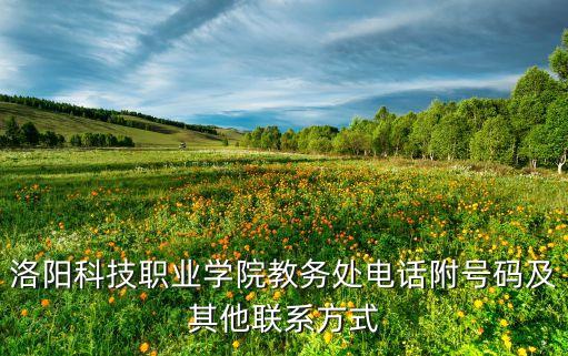 洛阳科技职业学院教务处电话附号码及其他联系方式