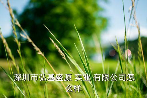  深圳市弘基盛源 实业 有限公司怎么样