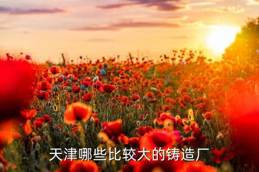 天津哪些比较大的铸造厂