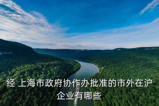 经 上海市政府协作办批准的市外在沪企业有哪些