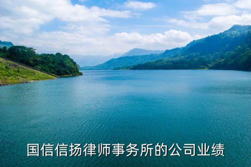 国信信扬律师事务所的公司业绩