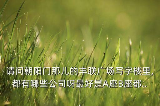 请问朝阳门那儿的丰联广场写字楼里,都有哪些公司呀最好是A座B座都...