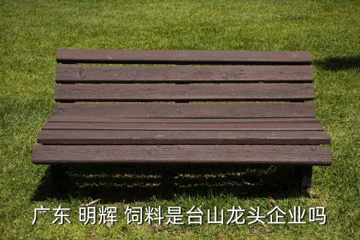 广东 明辉 饲料是台山龙头企业吗