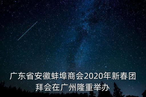 广东省安徽蚌埠商会2020年新春团拜会在广州隆重举办