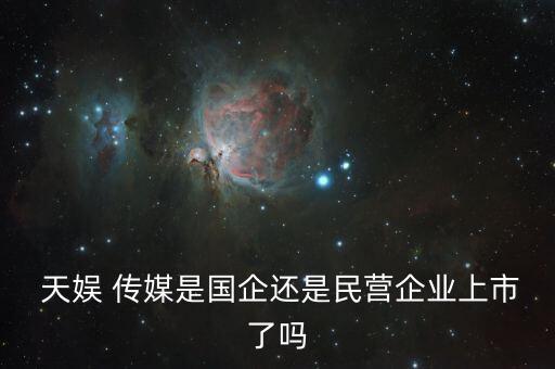 天娱 传媒是国企还是民营企业上市了吗