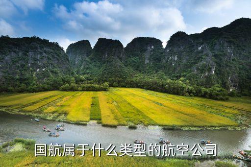 国航属于什么类型的航空公司