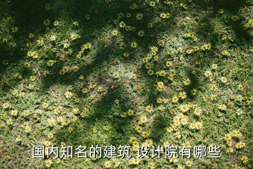 国内知名的建筑 设计院有哪些