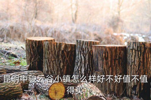 昆明中骏云谷小镇怎么样好不好值不值得买