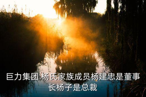 巨力集团 杨氏家族成员杨建忠是董事长杨子是总裁