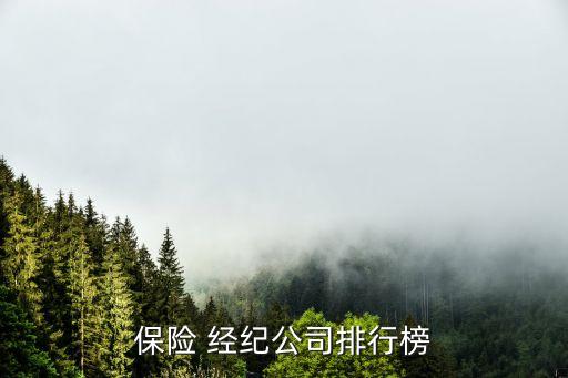 华泰保险经纪有限公司怎么样,周有吉华泰保险经纪有限公司