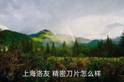 上海洛友 精密刀片怎么样
