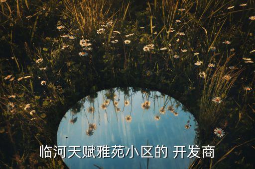 临河天赋雅苑小区的 开发商