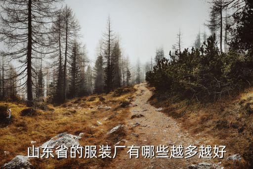 山东省的服装厂有哪些越多越好