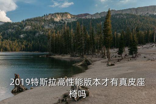 沥阳手袋有限公司,森荣手袋制造有限公司怎么样