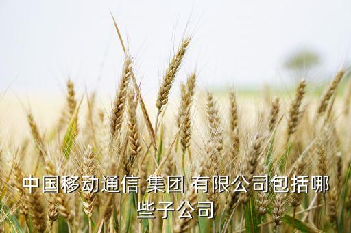 中国移动通信 集团 有限公司包括哪些子公司