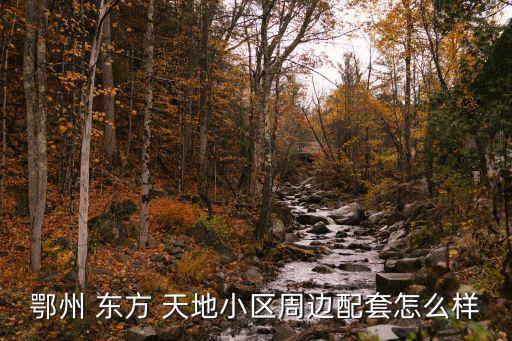 鄂州 东方 天地小区周边配套怎么样