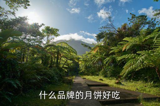 天使食品有限公司,青岛天使香气食品有限公司
