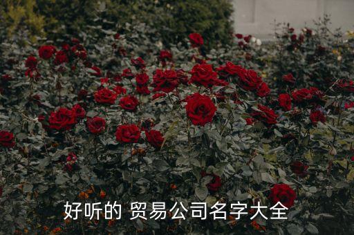 好听的 贸易公司名字大全