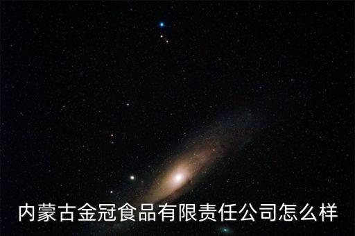 内蒙古金冠食品有限责任公司怎么样