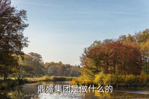 成都聚鼎盛投资管理有限公司,青岛玉龙鼎盛投资管理有限公司可靠吗