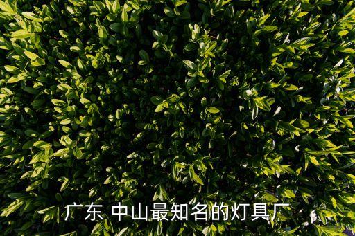 广东 中山最知名的灯具厂