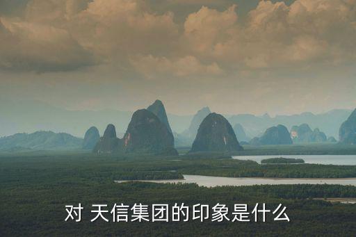 对 天信集团的印象是什么
