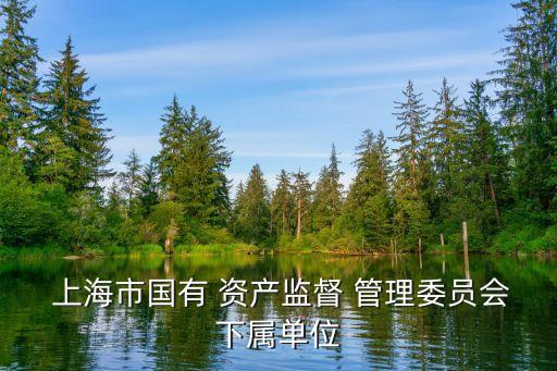  上海市国有 资产监督 管理委员会下属单位