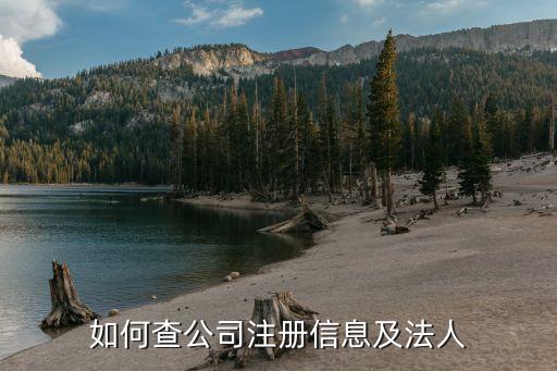 如何查公司注册信息及法人