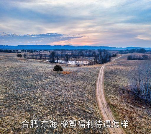 嘉兴东海橡塑有限公司电话,东海橡塑嘉兴有限公司财务怎么样