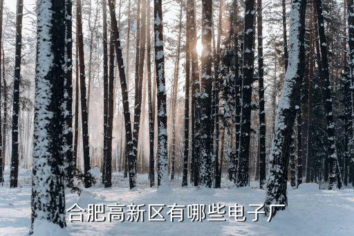 上海银鼎精密元件有限公司