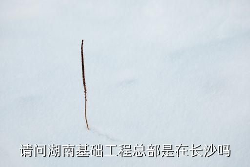 请问湖南基础工程总部是在长沙吗