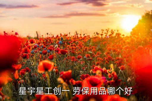 高密市丰润劳保有限公司