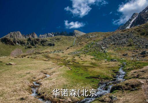  华诺森(北京