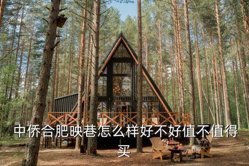  中侨合肥映巷怎么样好不好值不值得买