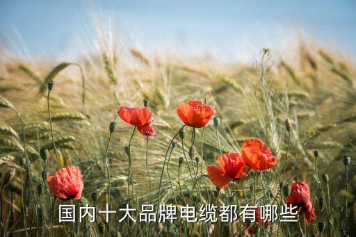 国内十大品牌电缆都有哪些