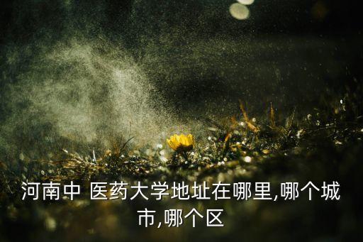 河南中 医药大学地址在哪里,哪个城市,哪个区