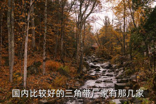 国内比较好的三角带厂家有那几家