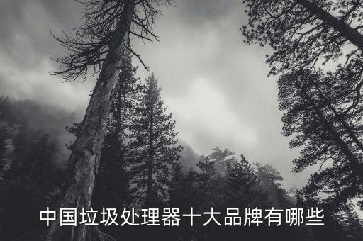 上海三叉戟信息科技有限公司电话,杭州三叉戟网络科技有限公司 广告大师