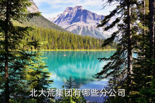 北大荒集团有哪些分公司