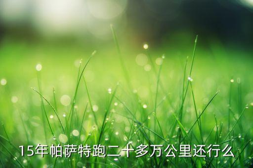 15年帕萨特跑二十多万公里还行么